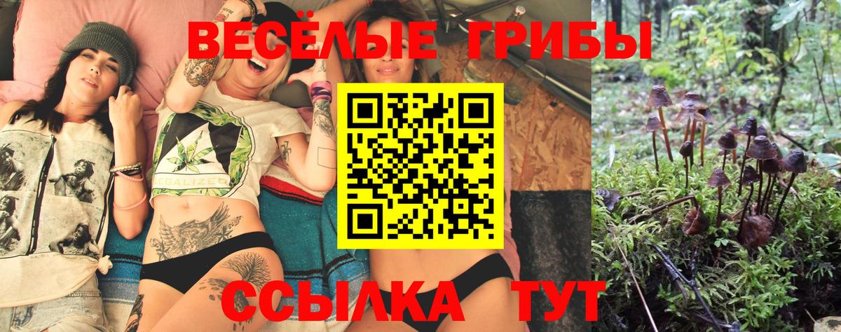 Псилоцибиновые грибы ЛСД  Вход с VPN  Можга 